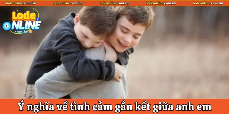Ý nghĩa về tình cảm gắn kết giữa anh em